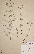  ( - H-KYM004231)  @11 [ ] Unspecified (default): All Rights Reserved  Unspecified Unspecified