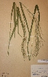  ( - H-KYM004430)  @11 [ ] Unspecified (default): All Rights Reserved  Unspecified Unspecified