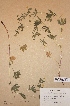  ( - H-KYM007561)  @11 [ ] Unspecified (default): All Rights Reserved  Unspecified Unspecified