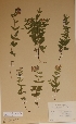  ( - H-KYM008851)  @11 [ ] Unspecified (default): All Rights Reserved  Unspecified Unspecified