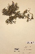  ( - H000002)  @11 [ ] Unspecified (default): All Rights Reserved  Unspecified Unspecified