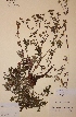  ( - H003971)  @11 [ ] Unspecified (default): All Rights Reserved  Unspecified Unspecified