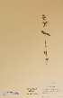  ( - H006258)  @11 [ ] Unspecified (default): All Rights Reserved  Unspecified Unspecified