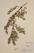  ( - H018594)  @11 [ ] Unspecified (default): All Rights Reserved  Unspecified Unspecified