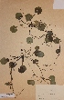  ( - H021288)  @11 [ ] Unspecified (default): All Rights Reserved  Unspecified Unspecified