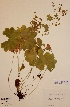 ( - H037151)  @11 [ ] Unspecified (default): All Rights Reserved  Unspecified Unspecified