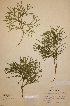  ( - H072256)  @11 [ ] Unspecified (default): All Rights Reserved  Unspecified Unspecified