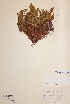  ( - H091604)  @11 [ ] Unspecified (default): All Rights Reserved  Unspecified Unspecified