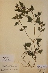  ( - H113098)  @11 [ ] Unspecified (default): All Rights Reserved  Unspecified Unspecified