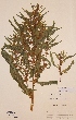  ( - H121132)  @11 [ ] Unspecified (default): All Rights Reserved  Unspecified Unspecified