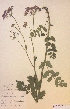  ( - H122970)  @11 [ ] Unspecified (default): All Rights Reserved  Unspecified Unspecified