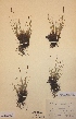  ( - H126546)  @11 [ ] Unspecified (default): All Rights Reserved  Unspecified Unspecified