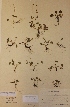  ( - H144843)  @11 [ ] Unspecified (default): All Rights Reserved  Unspecified Unspecified