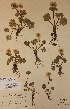  ( - H145032)  @11 [ ] Unspecified (default): All Rights Reserved  Unspecified Unspecified