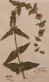  ( - H156416)  @11 [ ] Unspecified (default): All Rights Reserved  Unspecified Unspecified