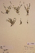  ( - H180686)  @11 [ ] Unspecified (default): All Rights Reserved  Unspecified Unspecified