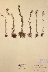  ( - H192176)  @11 [ ] Unspecified (default): All Rights Reserved  Unspecified Unspecified