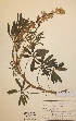  ( - H192847)  @11 [ ] Unspecified (default): All Rights Reserved  Unspecified Unspecified