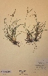  ( - H207179)  @11 [ ] Unspecified (default): All Rights Reserved  Unspecified Unspecified