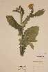  ( - H222785)  @11 [ ] Unspecified (default): All Rights Reserved  Unspecified Unspecified