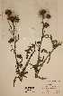  ( - H230184)  @11 [ ] Unspecified (default): All Rights Reserved  Unspecified Unspecified