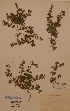  ( - H231708)  @11 [ ] Unspecified (default): All Rights Reserved  Unspecified Unspecified