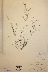  ( - H233070)  @11 [ ] Unspecified (default): All Rights Reserved  Unspecified Unspecified