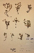  ( - H233195)  @11 [ ] Unspecified (default): All Rights Reserved  Unspecified Unspecified