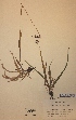  ( - H238881)  @11 [ ] Unspecified (default): All Rights Reserved  Unspecified Unspecified