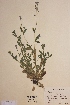  ( - H247996)  @11 [ ] Unspecified (default): All Rights Reserved  Unspecified Unspecified