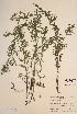  ( - H257041)  @11 [ ] Unspecified (default): All Rights Reserved  Unspecified Unspecified