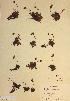  ( - H269779)  @11 [ ] Unspecified (default): All Rights Reserved  Unspecified Unspecified