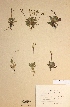  ( - H269937)  @11 [ ] Unspecified (default): All Rights Reserved  Unspecified Unspecified