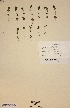  ( - H271068)  @11 [ ] Unspecified (default): All Rights Reserved  Unspecified Unspecified