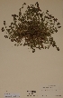  ( - H271339)  @11 [ ] Unspecified (default): All Rights Reserved  Unspecified Unspecified