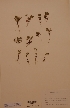  ( - H272776)  @11 [ ] Unspecified (default): All Rights Reserved  Unspecified Unspecified