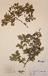 ( - H273797)  @11 [ ] Unspecified (default): All Rights Reserved  Unspecified Unspecified