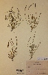  ( - H282301)  @11 [ ] Unspecified (default): All Rights Reserved  Unspecified Unspecified