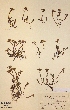  ( - H284237)  @11 [ ] Unspecified (default): All Rights Reserved  Unspecified Unspecified
