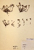  ( - H284296)  @11 [ ] Unspecified (default): All Rights Reserved  Unspecified Unspecified