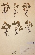  ( - H286310)  @11 [ ] Unspecified (default): All Rights Reserved  Unspecified Unspecified