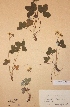  ( - H286321)  @11 [ ] Unspecified (default): All Rights Reserved  Unspecified Unspecified