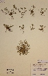  ( - H296333)  @11 [ ] Unspecified (default): All Rights Reserved  Unspecified Unspecified