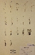  ( - H296680)  @11 [ ] Unspecified (default): All Rights Reserved  Unspecified Unspecified