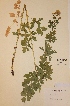  ( - H297973)  @11 [ ] Unspecified (default): All Rights Reserved  Unspecified Unspecified