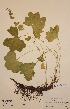  ( - H298345)  @11 [ ] Unspecified (default): All Rights Reserved  Unspecified Unspecified