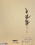  ( - H305040)  @11 [ ] Unspecified (default): All Rights Reserved  Unspecified Unspecified