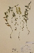  ( - H322202)  @11 [ ] Unspecified (default): All Rights Reserved  Unspecified Unspecified