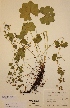  ( - H325029)  @11 [ ] Unspecified (default): All Rights Reserved  Unspecified Unspecified