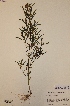  ( - H334984)  @11 [ ] Unspecified (default): All Rights Reserved  Unspecified Unspecified